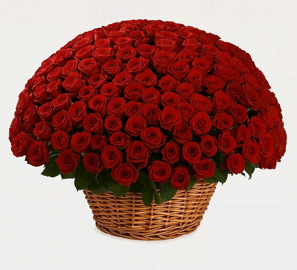 251 Премиум красная роза в Кромы Премиум букет из: Розы в Кромы