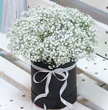Цветочная композиция из Гипсофила в шляпной коробке #REPLACE_PRED# Кромы